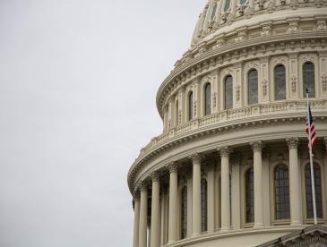 Top of the U.S. Capitol Building.